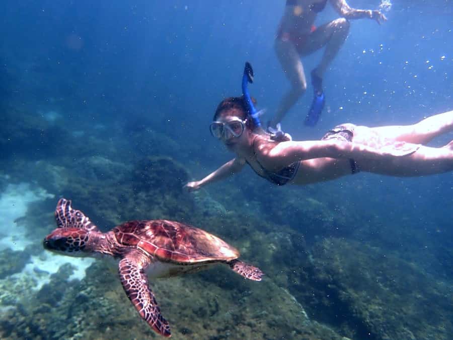 From Al-Seeb: Dimaniyat Islands Boat Trip with Snorkeling - What to pack for a smoother morning