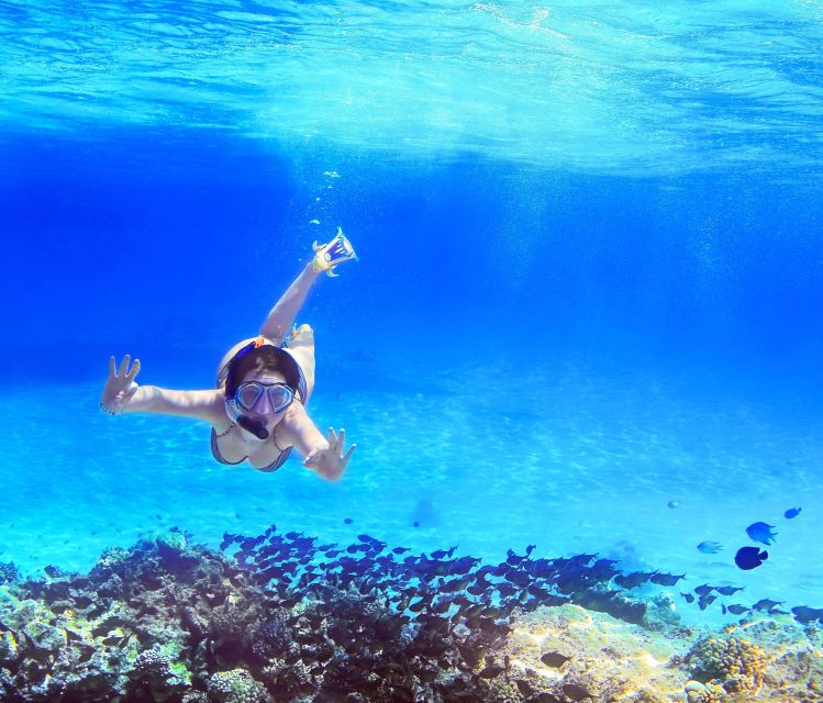 From Amalfi: Capri Island Boat Tour with Snorkeling & Drinks - Key points to know before booking