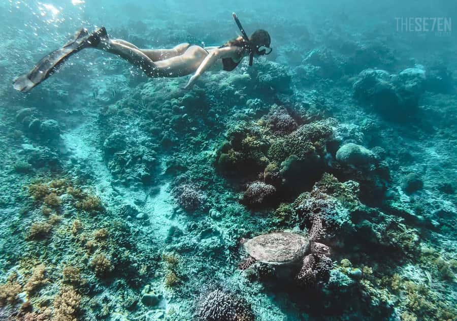 From Bali: 2-Day Private Gili Island Snorkel Tour with Hotel - Leaving Bali by shuttle and fast boat