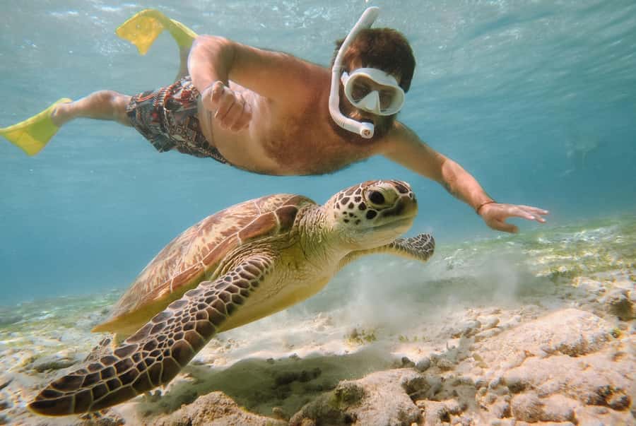 From Bali: 2D1N Gili Island Private Snorkel Boat with Hotel - Your first afternoon on Gili Trawangan