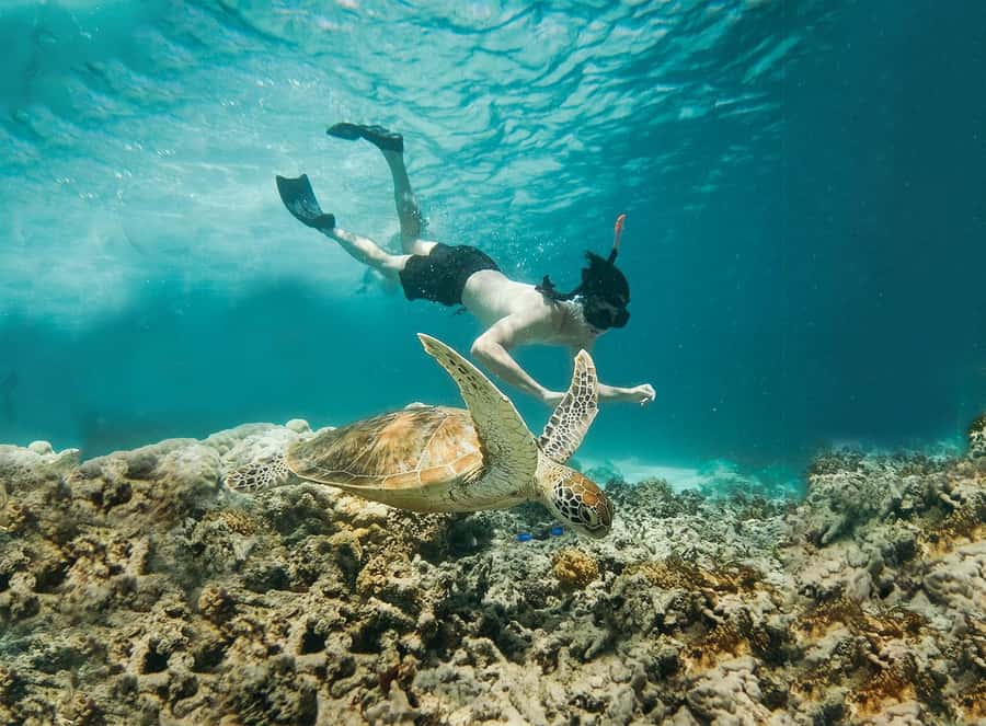 From Bali: 2D1N Gili Island Private Snorkel Boat with Hotel - Gili Air and Gili Meno in one route