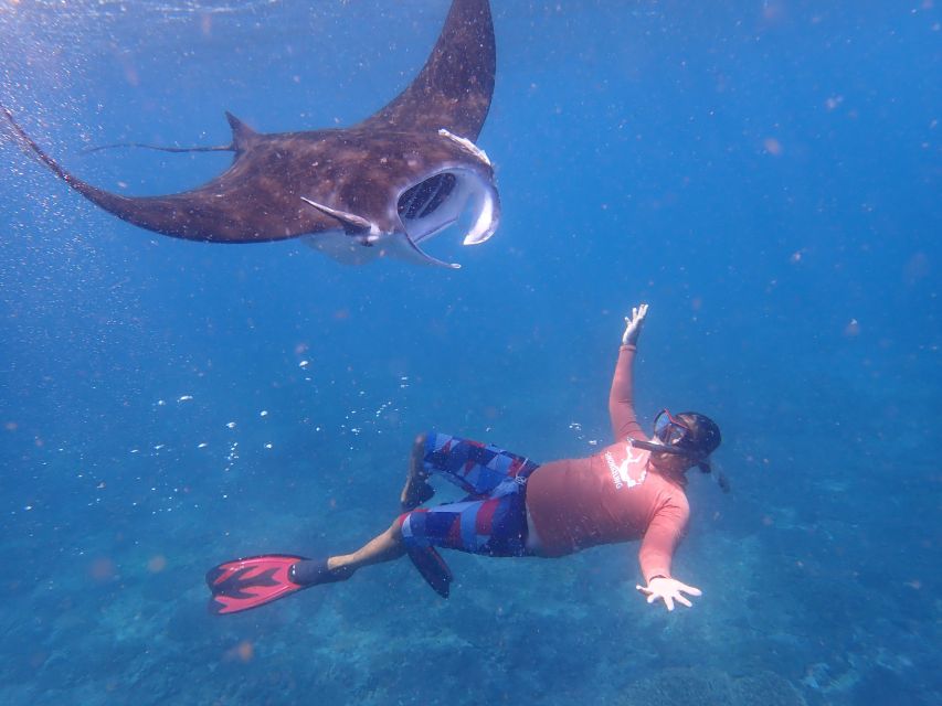 From Bali: 3 Snorkeling Spots Tour to Lembongan and Penida - Who will get the most from this tour
