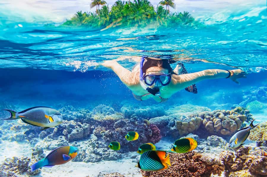 From Bali: 3 Snorkeling Spots Tour to Lembongan and Penida - Why this Nusa Islands outing is worth considering