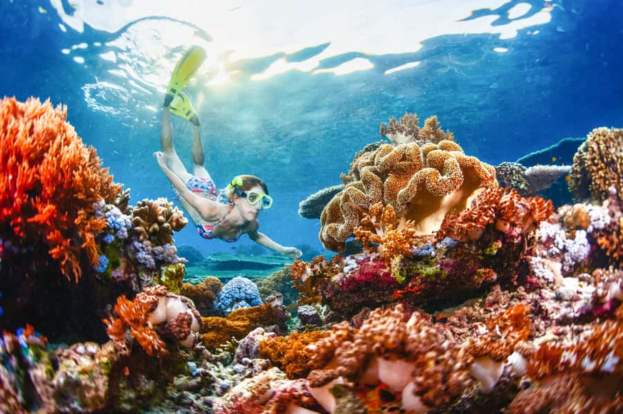 From Bali: 3 Snorkeling Spots Tour to Lembongan and Penida - Gamat Bay and the first look underwater