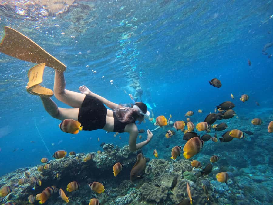 From Bali: 3 Snorkeling Spots Tour to Lembongan and Penida - Getting from Bali to Nusa Lembongan