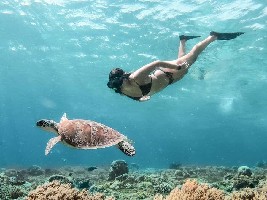 From Bali: Gili Islands Private Snorkeling Day Trip - From Padang Bai to Gili Trawangan by fast boat