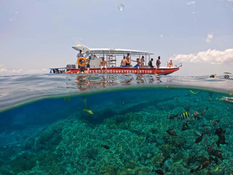 From Bali: Half Day Snorkeling 3 Spots to Lembongan & Penida - Who should book this snorkeling trip?