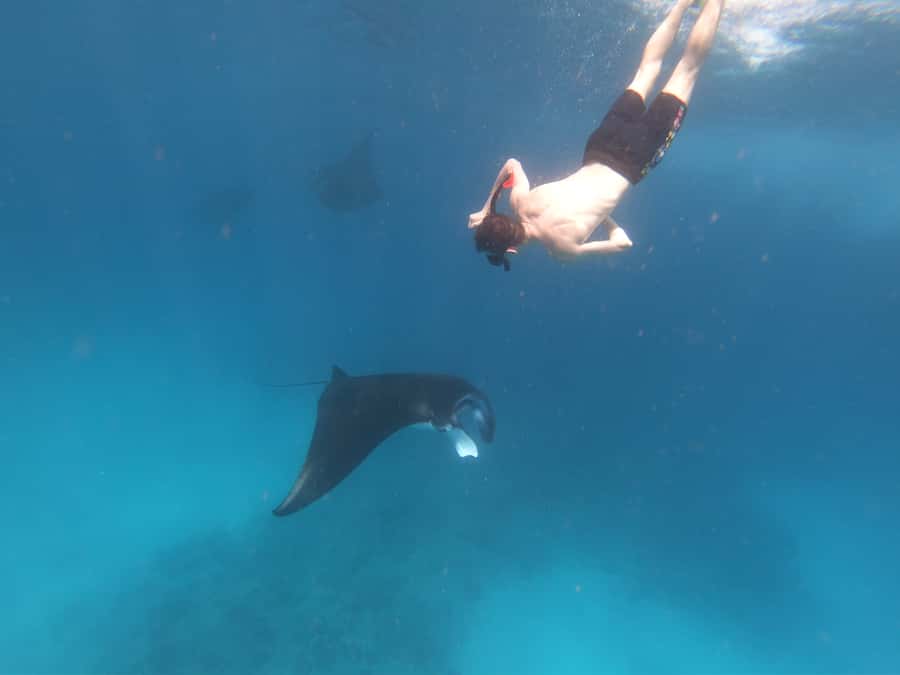 From Bali: Lembongan & Penida 2-Day Tour with Snorkeling - Key points to know