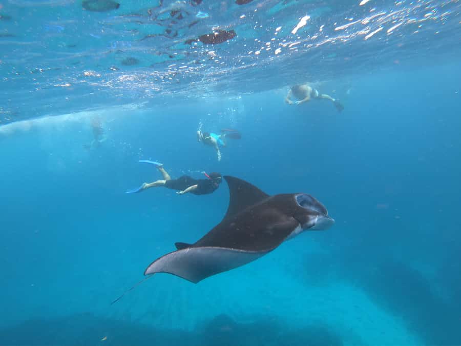 From Bali: Lembongan & Penida 2-Day Tour with Snorkeling - What the $150 price really covers