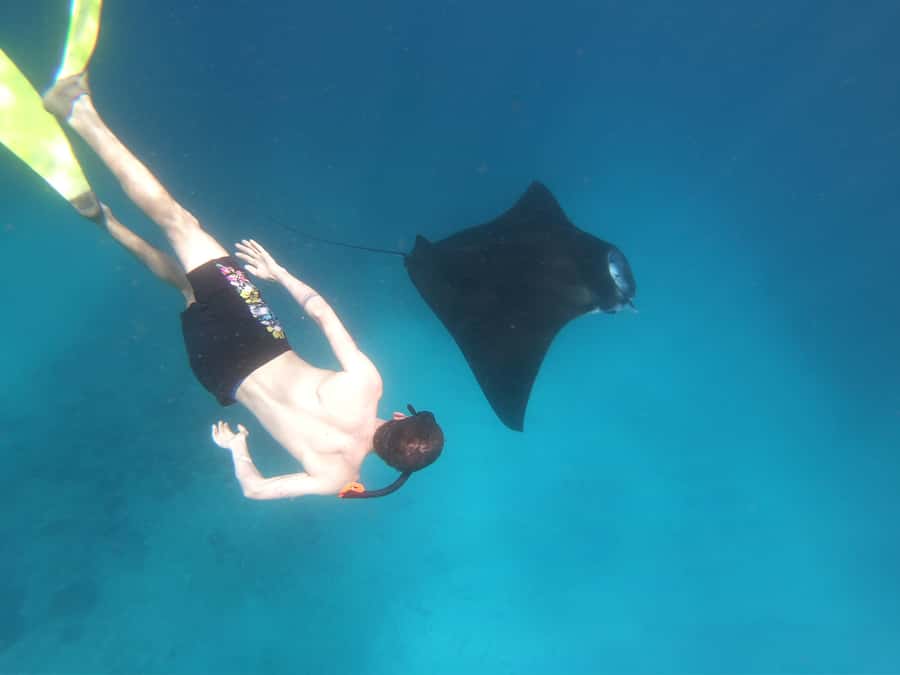 From Bali: Lembongan & Penida 2-Day Tour with Snorkeling - Three snorkeling stops and a chance at manta rays