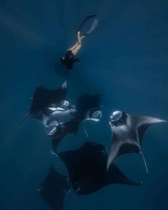 From Bali: Nusa Penida Day Tour & Snorkeling - A long day that covers Nusa Penida’s big sights