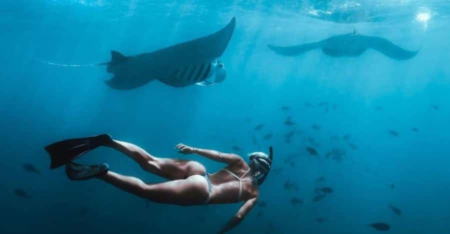 From Bali: Nusa Penida Full Day Private Snorkeling Tour - The real prize is the private boat