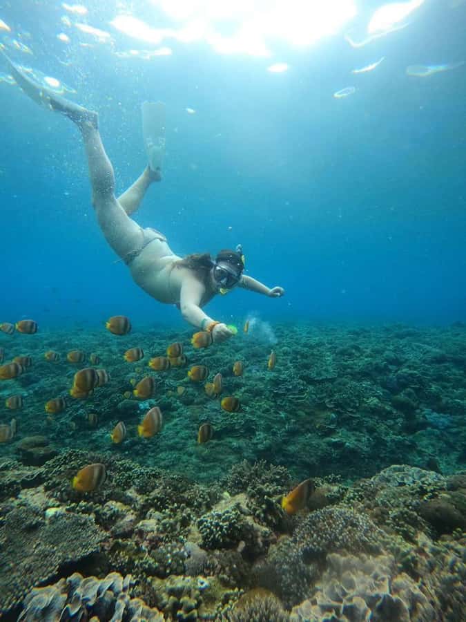 From Bali: Nusa Penida Full Day Private Snorkeling Tour - Lunch at Maruti Beach Club is a practical finish