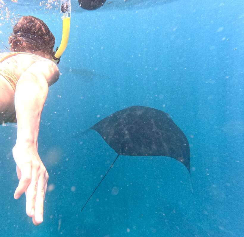 From Bali: Nusa Penida Full Day Tour and Snorkeling 3 Spots - Key points to know before booking
