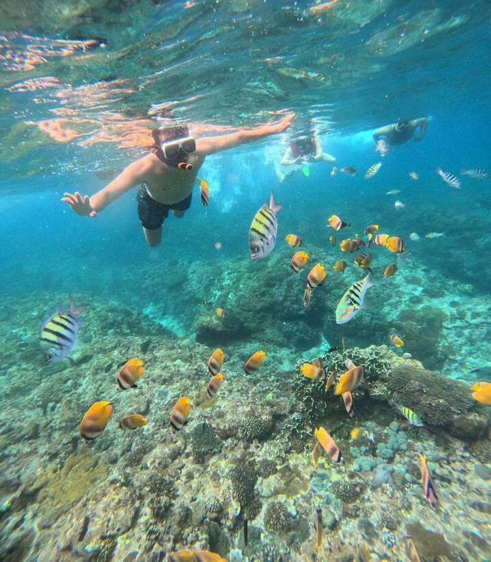 From Bali: Nusa Penida Full Day Tour and Snorkeling 3 Spots - The main strengths and the honest drawbacks
