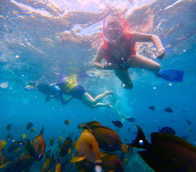 From Bali: Nusa Penida Full Day Tour and Snorkeling 3 Spots - Snorkeling at Manta Bay, Gamat Bay, and Crystal Bay