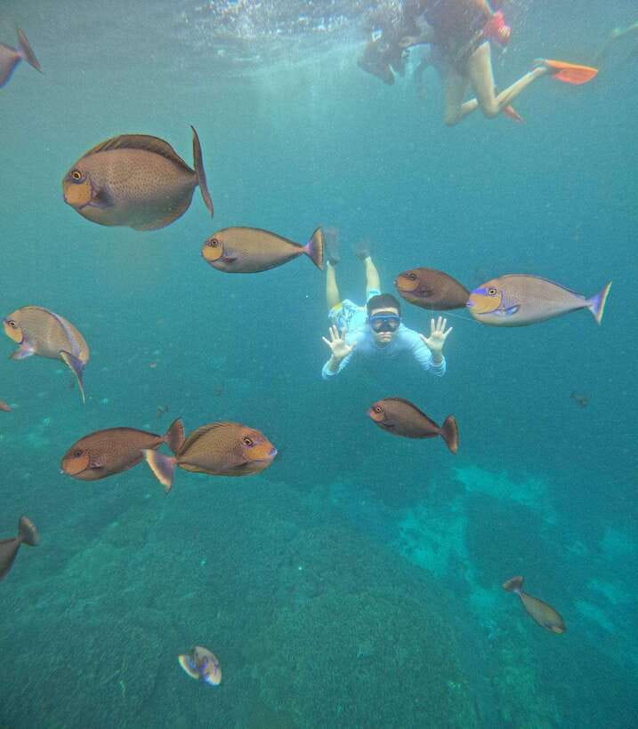 From Bali: Nusa Penida Full Day Tour and Snorkeling 3 Spots - Kelingking Beach and its famous cliff view