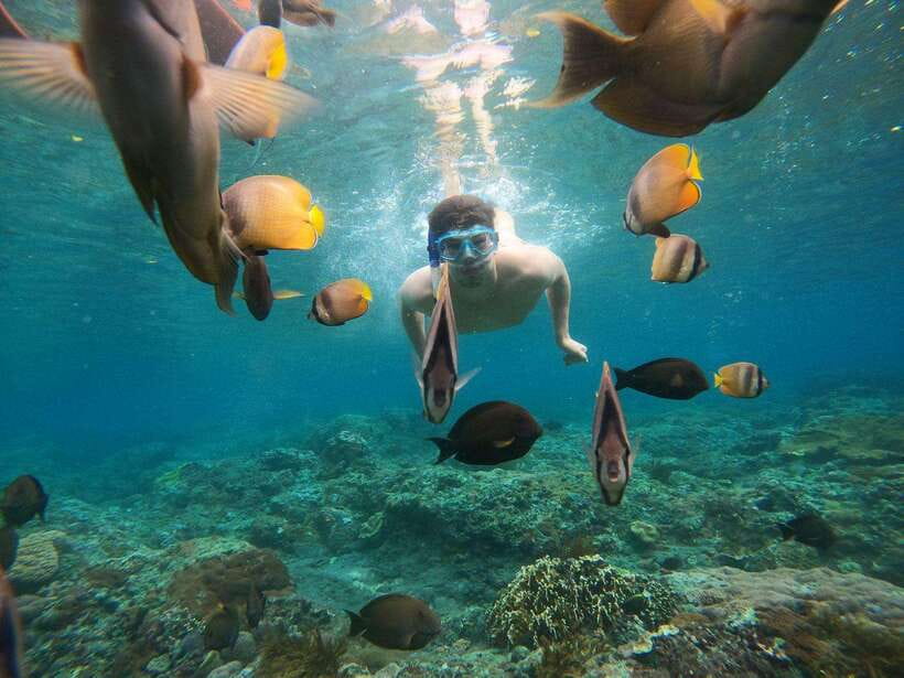 From Bali: Nusa Penida Full Day Tour and Snorkeling 3 Spots - How to choose shared or private snorkeling