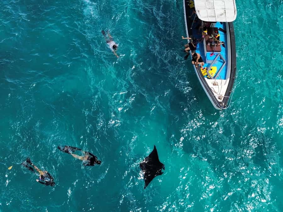 From Bali: Nusa Penida Private Snorkeling and Land Tour - Kelingking Beach delivers the famous view