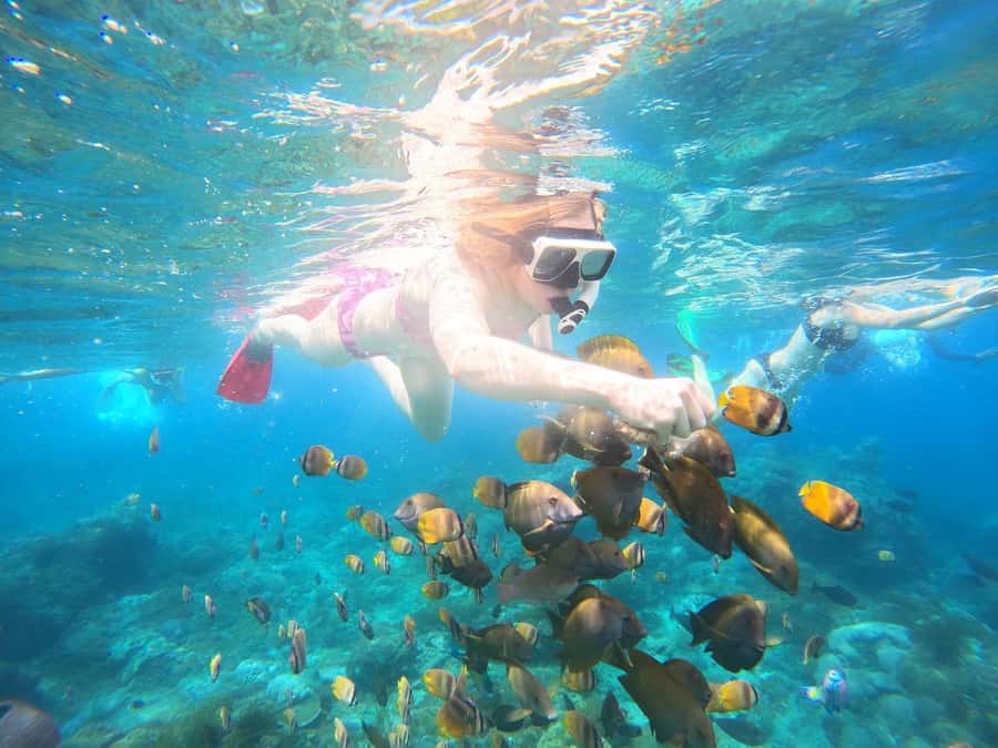 From Bali: Nusa Penida Private Snorkeling and Land Tour - Crystal Bay and Gamat Bay add coral and fish
