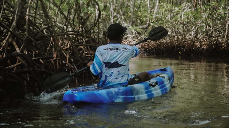 From Bali: Nusa Penida Snorkel 3 Spots w/ GoPro & Kayak tour - What You Are Really Buying for $40