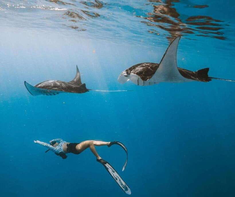 From Bali: Nusa Penida Snorkeling and West Coast Tour - Manta rays first, Nusa Penida cliffs later