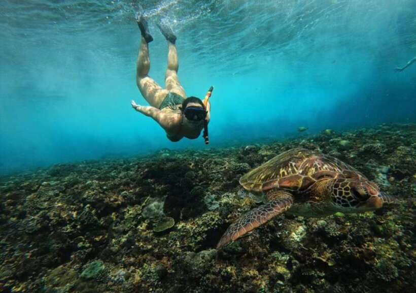 From Bali: Nusa Penida Snorkeling and West Coast Tour - Hotel pickup and the fast crossing from Bali