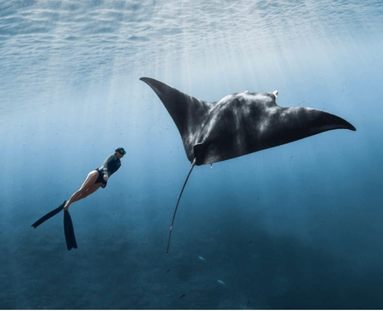 From Bali: Nusa Penida Snorkeling and West Coast Tour - Kelingking Beach and the T-Rex cliff