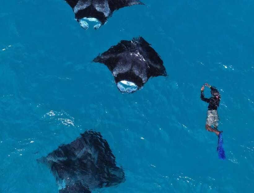 From Bali: Nusa Penida Snorkeling and West Coast Tour - Who will enjoy this day most
