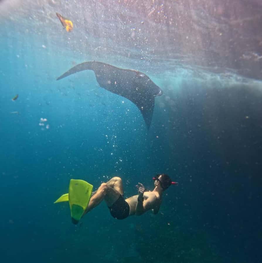 From Bali: Snorkeling 3 Spots with GoPro & West Penida Tour - Key points at a glance