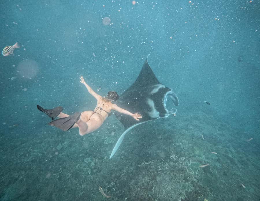 From Bali: Snorkeling 3 Spots with GoPro & West Penida Tour - The early start at Sanur Harbour
