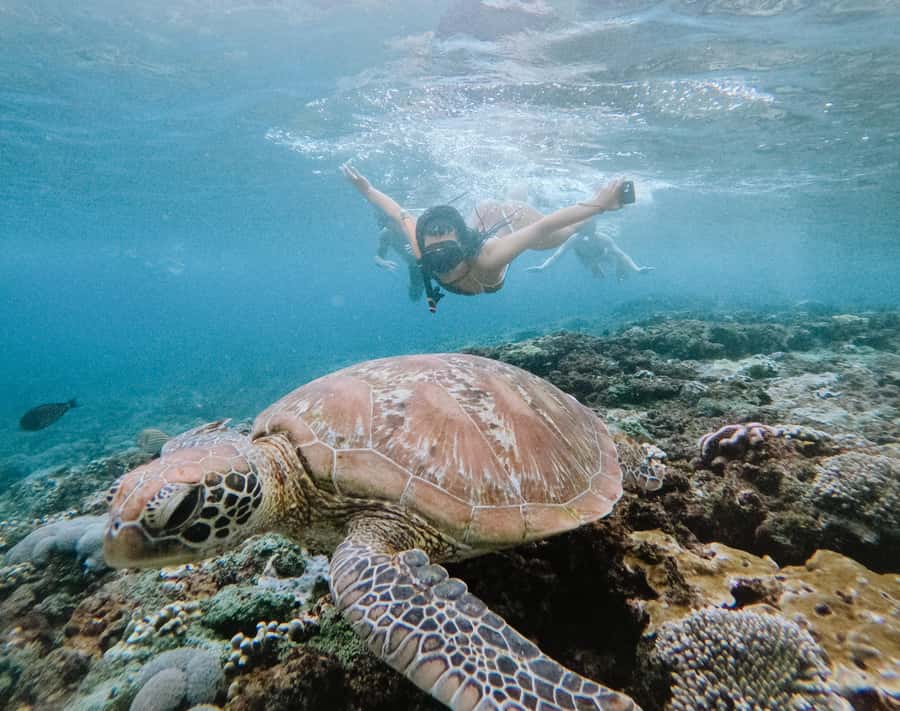 From Bali: Snorkeling at Manta Point Nusa Penida & Land Tour - Key points to know before booking
