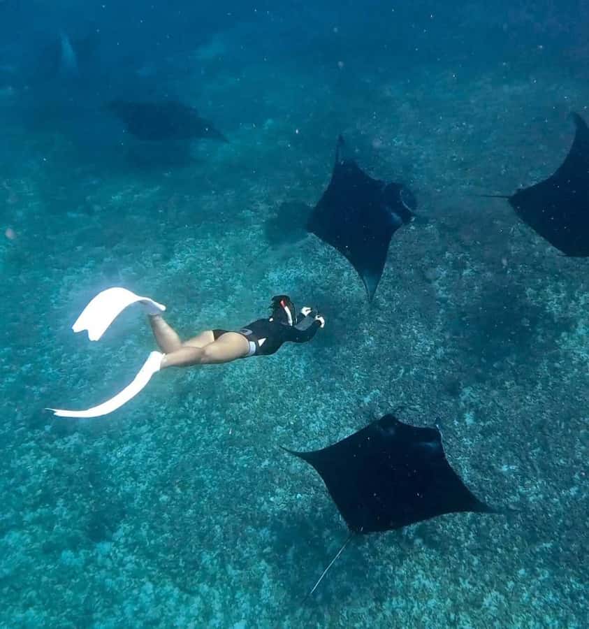 From Bali: Snorkeling at Manta Point Nusa Penida & Land Tour - Why this Nusa Penida trip is worth considering