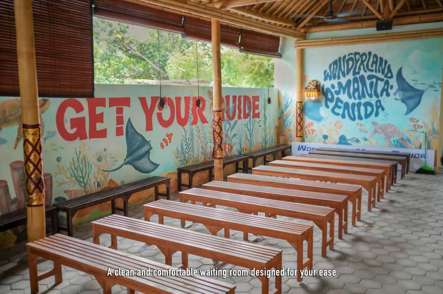 From Bali: Snorkeling at Manta Point Nusa Penida & Land Tour - Who should book, and who should skip it?