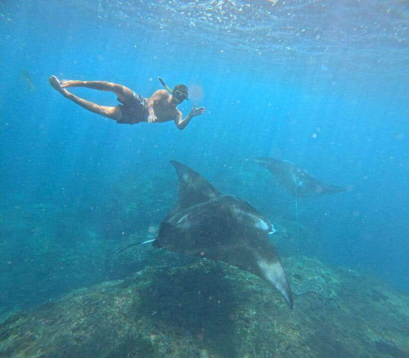 From Bali : Snorkeling & Nusa Penida Island Tour with Lunch - Manta Bay: the day’s biggest wildlife moment