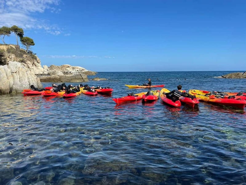 From Barcelona: Costa Brava Kayak & Snorkel Tour with Picnic - What the $71 price really covers