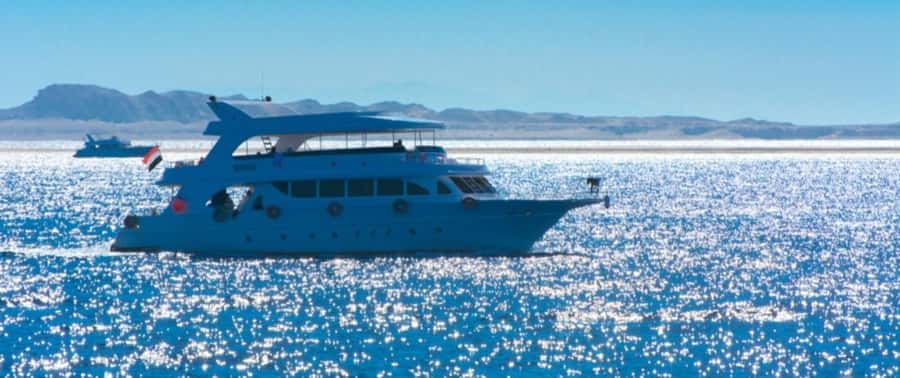 From Cairo: Snorkeling Trip on Yacht with Lunch - Key points to know before you book
