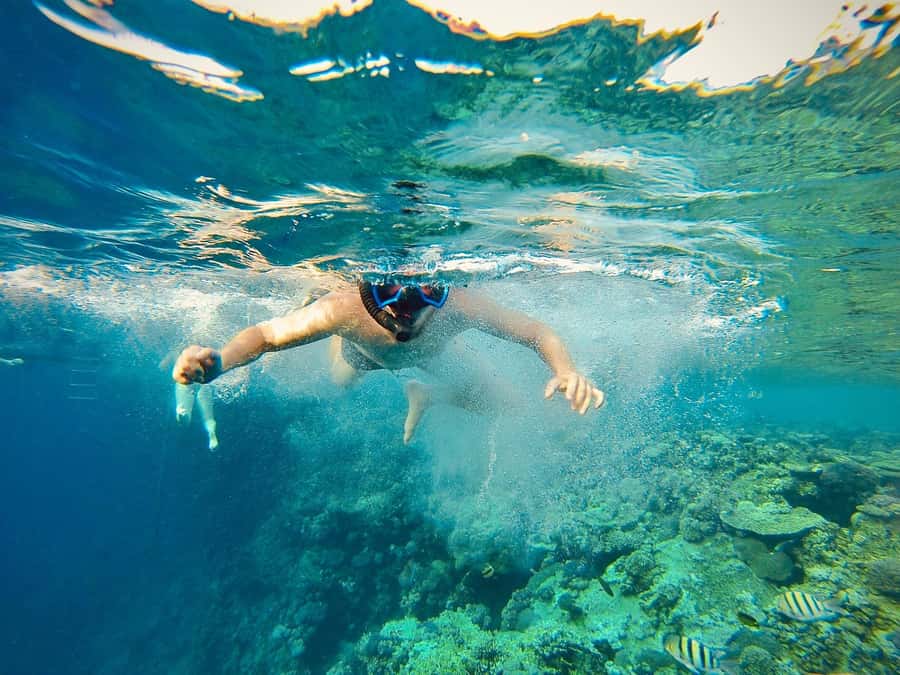 From Cairo: Snorkeling Trip on Yacht with Lunch - What the Red Sea views are really like