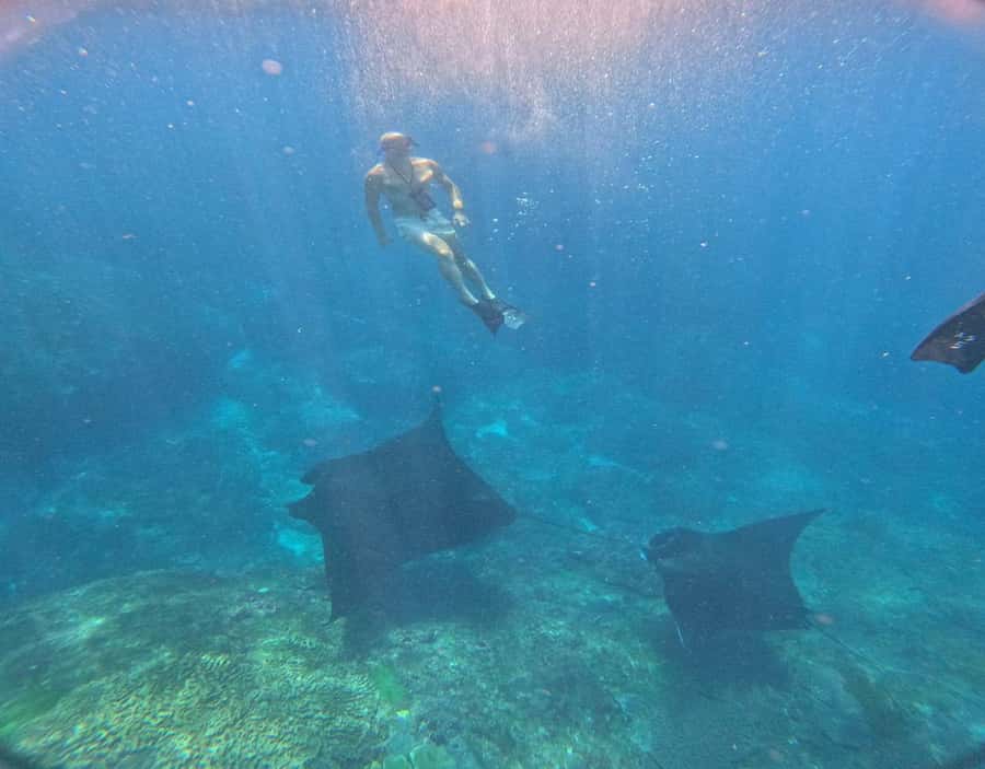 From Ceningan: Snorkeling with Manta Rays & Land Tour - Manta rays set the tone from the start