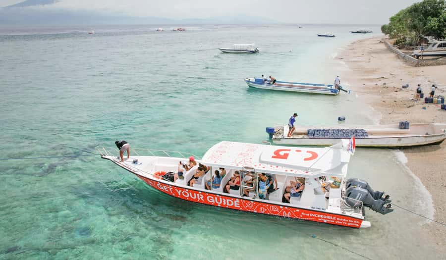 From Ceningan: Snorkeling with Manta Rays & Land Tour - Manta Point: thrilling animals, difficult conditions