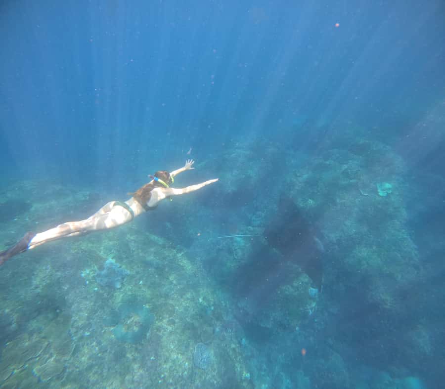 From Ceningan: Snorkeling with Manta Rays & Land Tour - Gamat Bay brings coral and fish