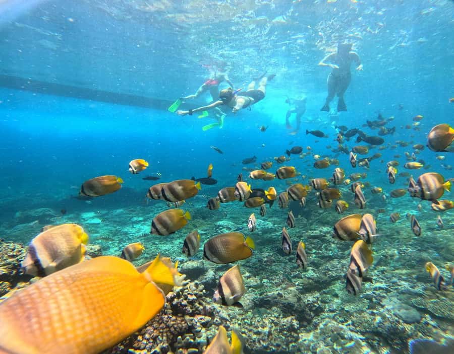 From Ceningan: Snorkeling with Manta Rays & Land Tour - The Wall is a short final water stop
