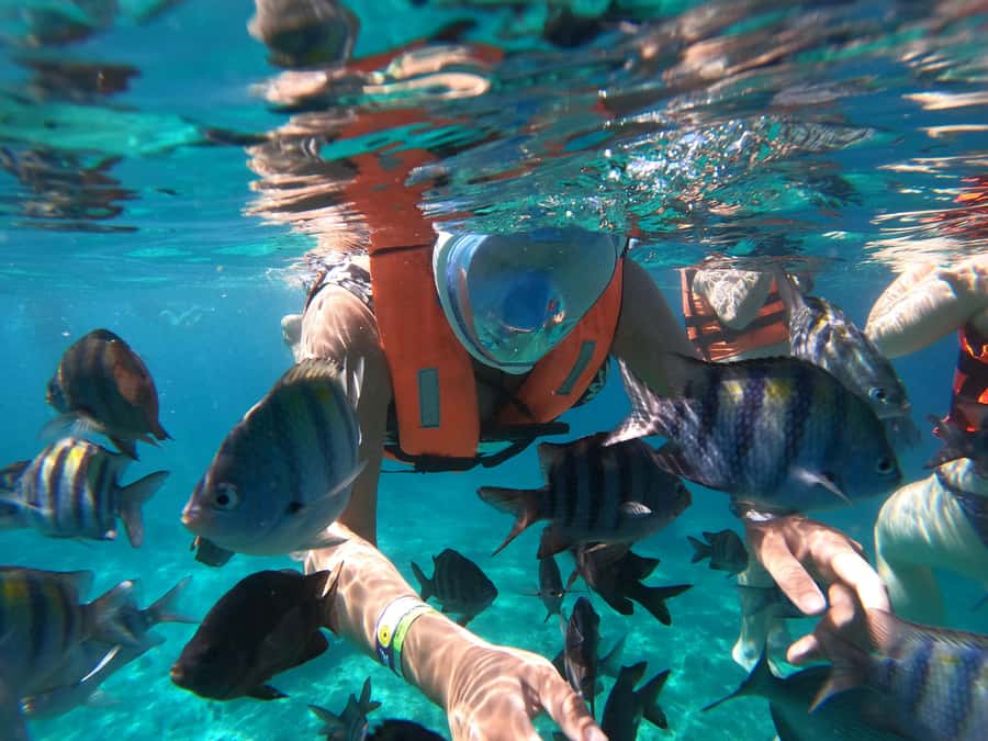 From Cozumel: Invisible Boat Snorkeling Tour - One snorkeling stop, not a full water session