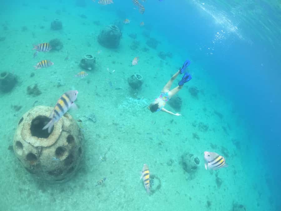 From Cozumel: Invisible Boat Snorkeling Tour - Should you book the invisible boat?