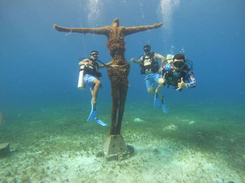 From Cozumel: Official Chankanaab Park Day Pass and Snorkel - The sea lion show adds a scheduled attraction