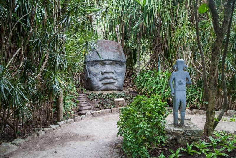 From Cozumel: Official Chankanaab Park Day Pass and Snorkel - What the $35 price really covers