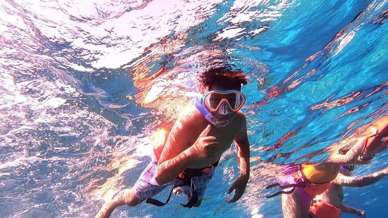 From Cozumel: Official Chankanaab Park Day Pass and Snorkel - A natural lagoon, cove, and sandy beach