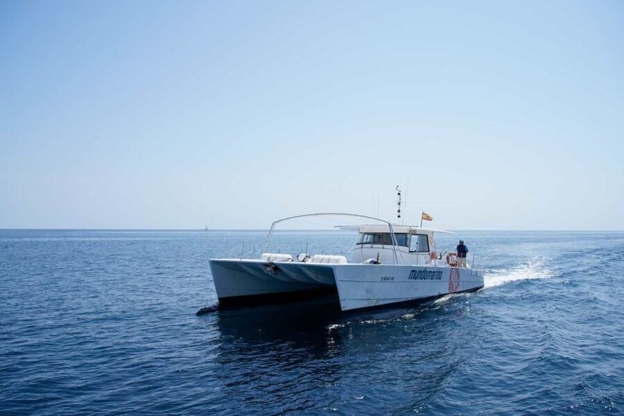 From Denia or Javea: 3 Cape Boat Excursion with Snorkeling - Practical tips for a better day on the water