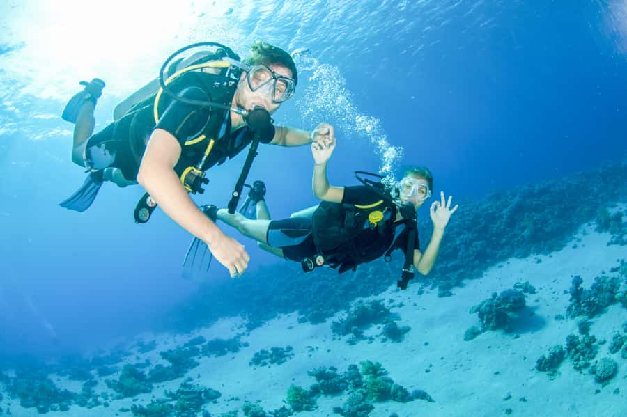 From Dubai: Discovery Scuba Diving & Snorkeling In Fujairah - What 10 meters below the surface feels like