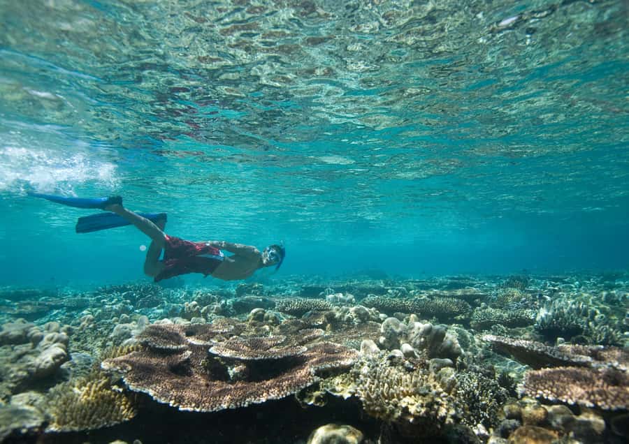 From Dubai: Discovery Scuba Diving & Snorkeling In Fujairah - Getting ready for your first scuba session